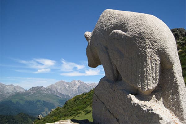 oso llesba